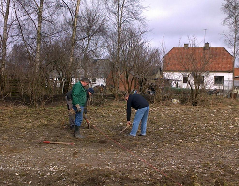 Plantning af byskov 2011