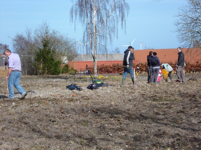 Fredag den 1. april 2011 plantede vi 1.000 træer og buske af 33 forskellige slags.