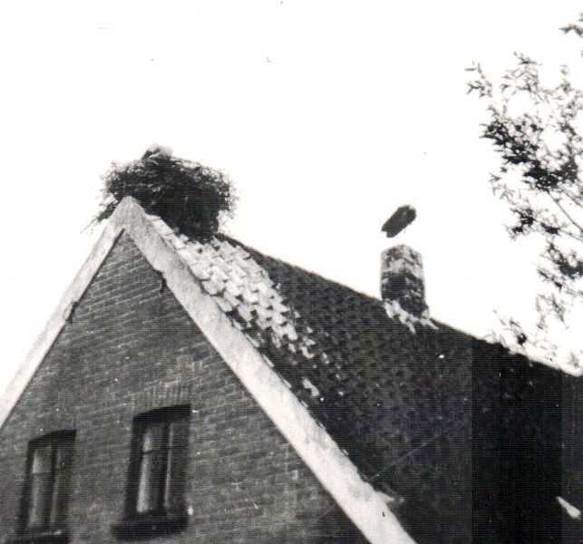 Storken på Trommelholtvej 6A 1938 Lokalhistorisk B2265