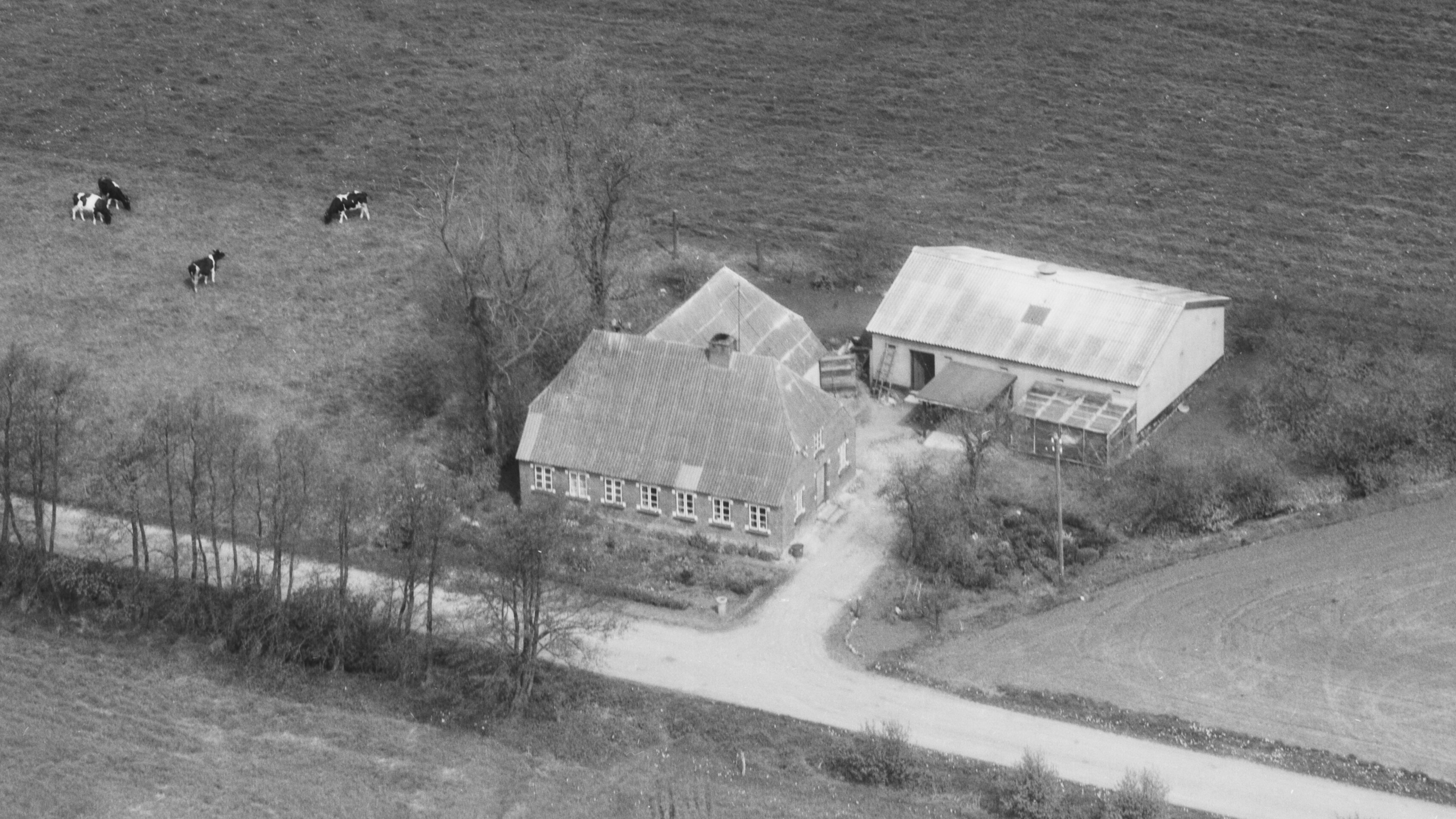 Hos Arne Davidsen 1972 Sylvest Jensen Luftfoto;  Det Kgl. Bibliotek https://www.kb.dk/danmarksetfraluften/images/luftfo/2011/maj/luftfoto/object2026734