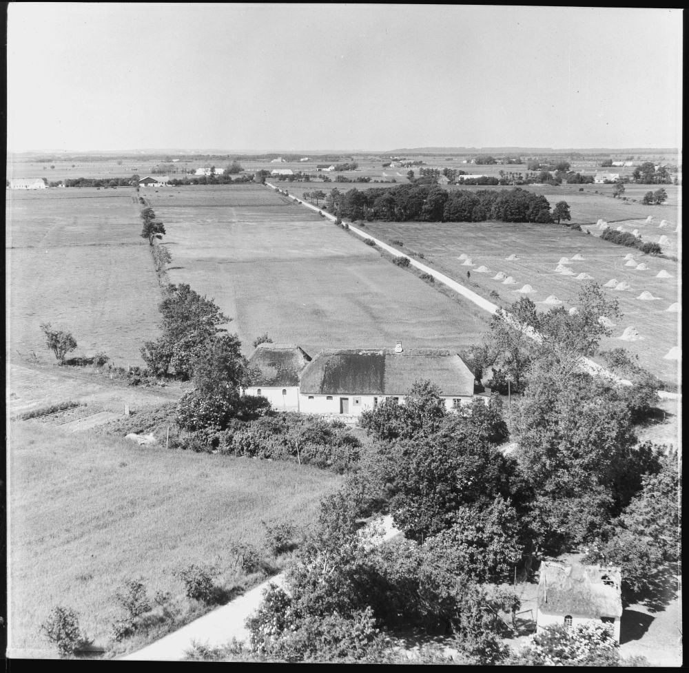Hos Tinus Pedersen 1955 Sylvest Jensen Luftfoto;  Det Kgl. Bibliotek https://www.kb.dk/danmarksetfraluften/images/luftfo/2011/maj/luftfoto/object1891519