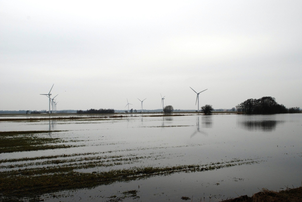 Melkurven December 2009 Foto: Jens Cæsar Jensen